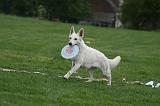 FRISBEE 026